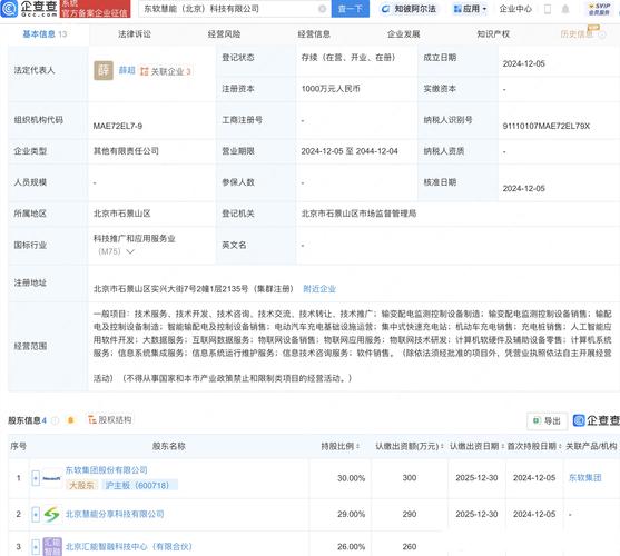 人工智能应用软件开发 驱动未来的核心引擎
